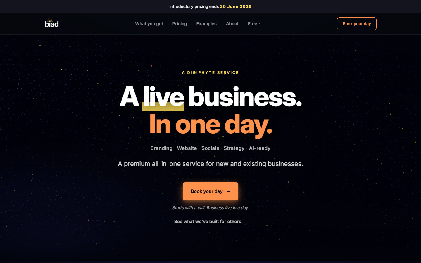 The Business in a Day website, a done-for-you service that launches a business in a single day
